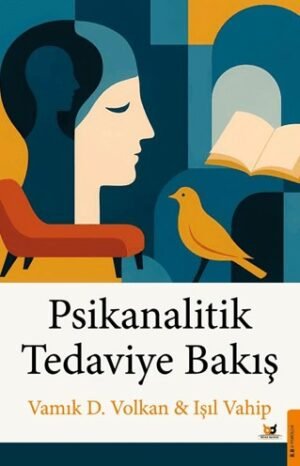 Psikanalitik Tedaviye Bakış