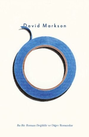 Bu Bir Roman Değildir ve Diğer Romanlar