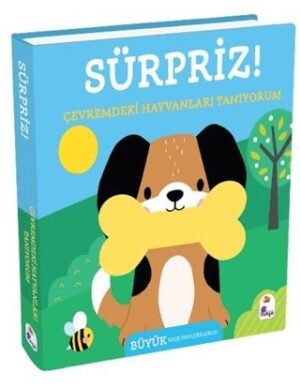 Sürpriz! – Çevremdeki Hayvanları Tanıyorum