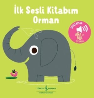 Orman - İlk Sesli Kitabım