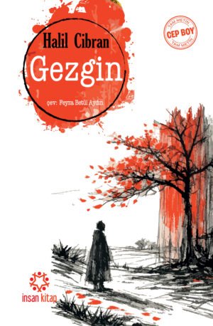 Gezgin