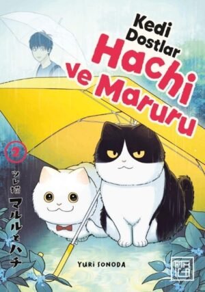 Online Kitap ve Kırtasiye Alışverişi 7 Kedi Dostları Hachi ve Maruru 2