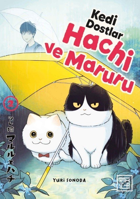 9786258858310 Kedi Dostları Hachi ve Maruru 2 9786258858310